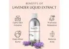 Lavender Liquid Extract for Skincare, Haircare & Cosmetic Formulations | Raasa Oils