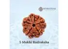 5 mukhi rudraksha