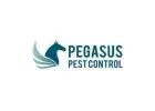 Pegasus Pest Control