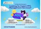 Looking for Expert PPC Management Services?