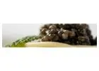 Luxury Food Caviar Dubai | Premium Osetra Caviar & Gourmet Delights
