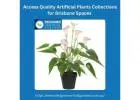 Access Quality Artificial Plants Collections for Brisbane Spaces