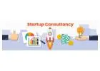 Startup Business Consultant