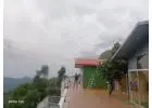 Luxury Resort in Dhanaulti