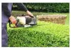 Best Garden Maintenance service in Heathfield