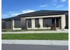 Save on Bills with Energy-Efficient Roller Shutters in Melbourne