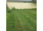 Best Lawn Mowing in River Heads