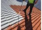 Best Roof Painting service in Tarragindi