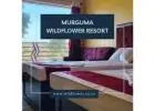 murguma tourism property