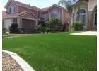Best Artificial Turf Suppliers Brisbane Premium Quality