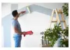 Best Painter in Haile Plantation