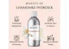 Chamomile Hydrosol for Cosmetic & Beauty Products | Raasa Oils