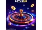 Lotus365 India's Best Online Betting ID With Lotus Betting ID