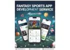 Custom Fantasy Sports App Development Services for Startups