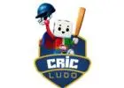 Play Cricket Ludo Online - Cricludo