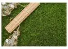 Quality Natural Grass Supply and Distribution in Delhi
