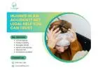 Injured in an Accident? Get Legal Help You Can Trust