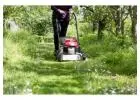 Best Lawn Mowing service in Orakei
