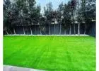 Low Maintenance Solutions with Artificial Turf Toowoomba
