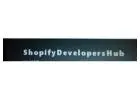 custom shopify development in delhi | shopify company in delhi
