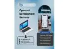 Affordable Opencart Development Company in India