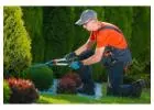 Best Garden Maintenance in Torbay