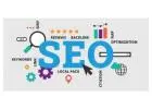 Top SEO Experts in Noida for Business Growth
