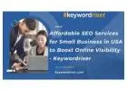 Affordable SEO Services for Small Business in USA to Boost Online Visibility - Keywordriser