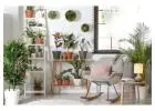 Best Indoor Plant Hire – Transform Your Space with Greenery