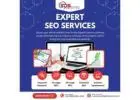 Professional SEO Services in Noida
