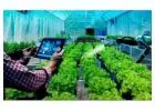 All-in-One Grower Management Software for Greenhouse Operations & Plant Nursery