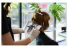 Best Hair Color Specialist in West Des Moines