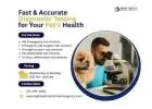 Fast & Accurate Diagnostic Testing for Your Pet’s Health