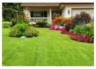 Best Lawn Care in Appleton