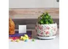 Elevate Your Interiors with Wallmantra Indoor Plant Pots
