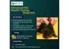 Advanced Pet Health Testing for Accurate Diagnosis