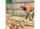 Professional Melbourne Tree Removal Services | Safe & Reliable