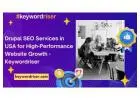 Drupal SEO Services in USA for High-Performance Website Growth - Keywordriser