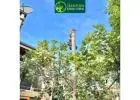 Reliable Tree Removals in Melbourne for Safe, Clean Outdoor Spaces