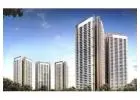 DLF The Arbour: Exclusive Luxury Apartments in Gurgaon.