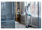 Best Termite Treatment in Gandhinagar