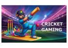 Diamond Exchange ID – Where Sports Come Live