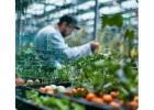 ERP Systems for Food Manufacturers