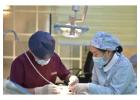 Dental Services Melbourne for Modern and Affordable Care