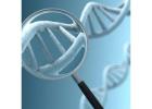 Targeted Cancer Therapy in Gurgaon