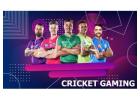 Your Ultimate IPL Destination Starts With Diamond Exchange