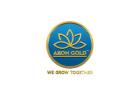 Are You Looking for Trusted Digital Gold Investment Options