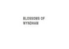 Same Day Flower Delivery St Albans